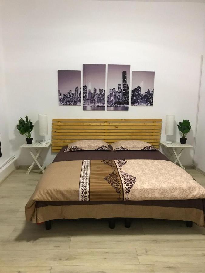 Large Apartment City Centre 布加勒斯特 外观 照片