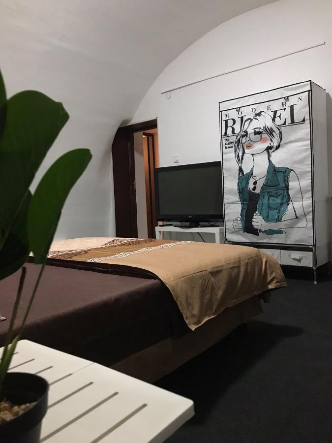 Large Apartment City Centre 布加勒斯特 外观 照片
